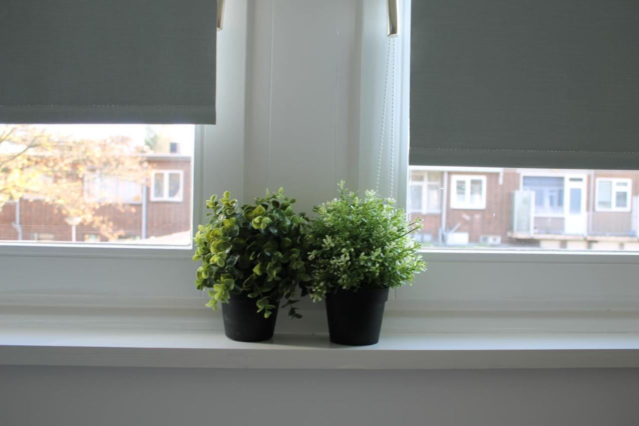 Apartment Hoornweg ロッテルダム 部屋 写真